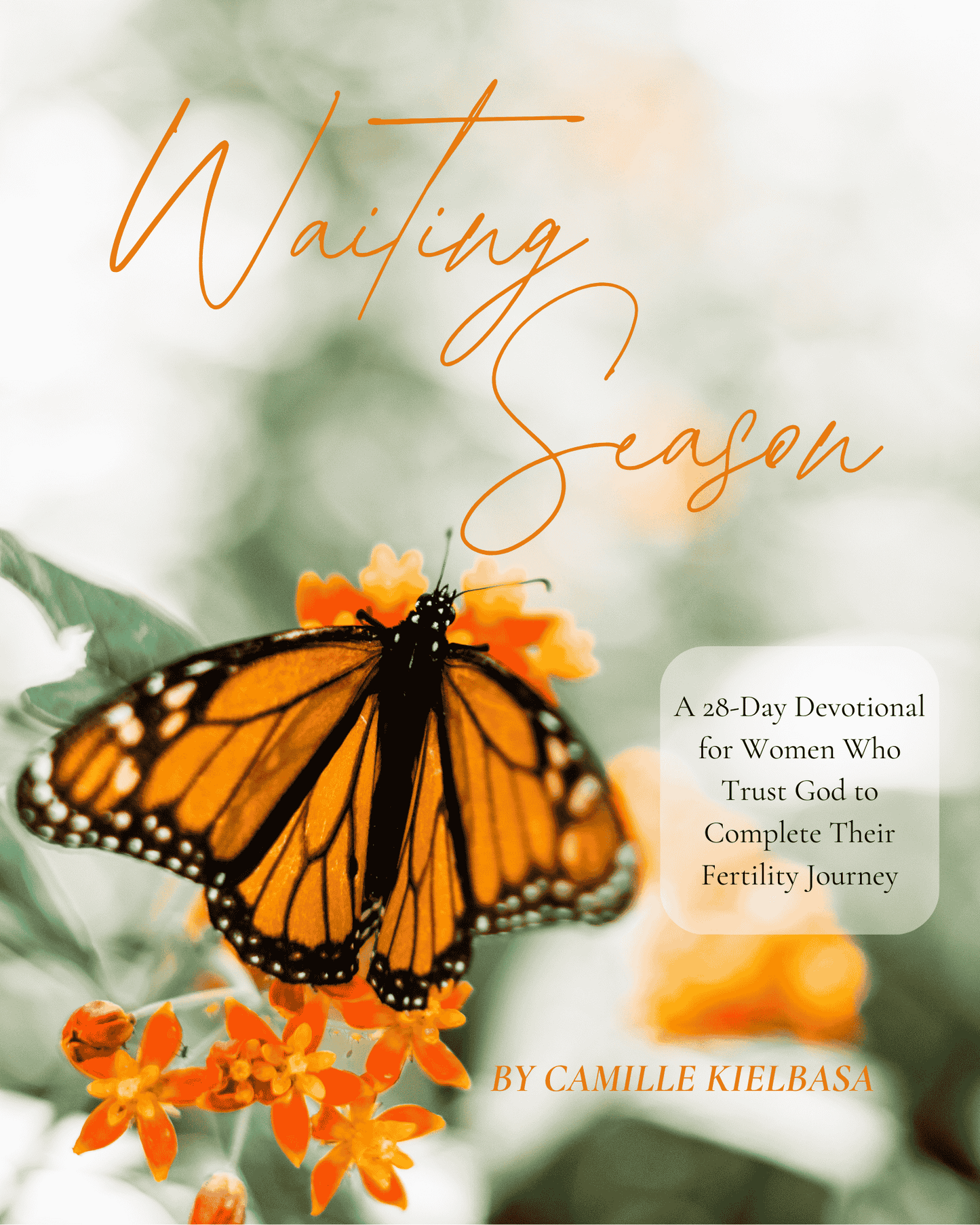 Waiting Season Devotional Book